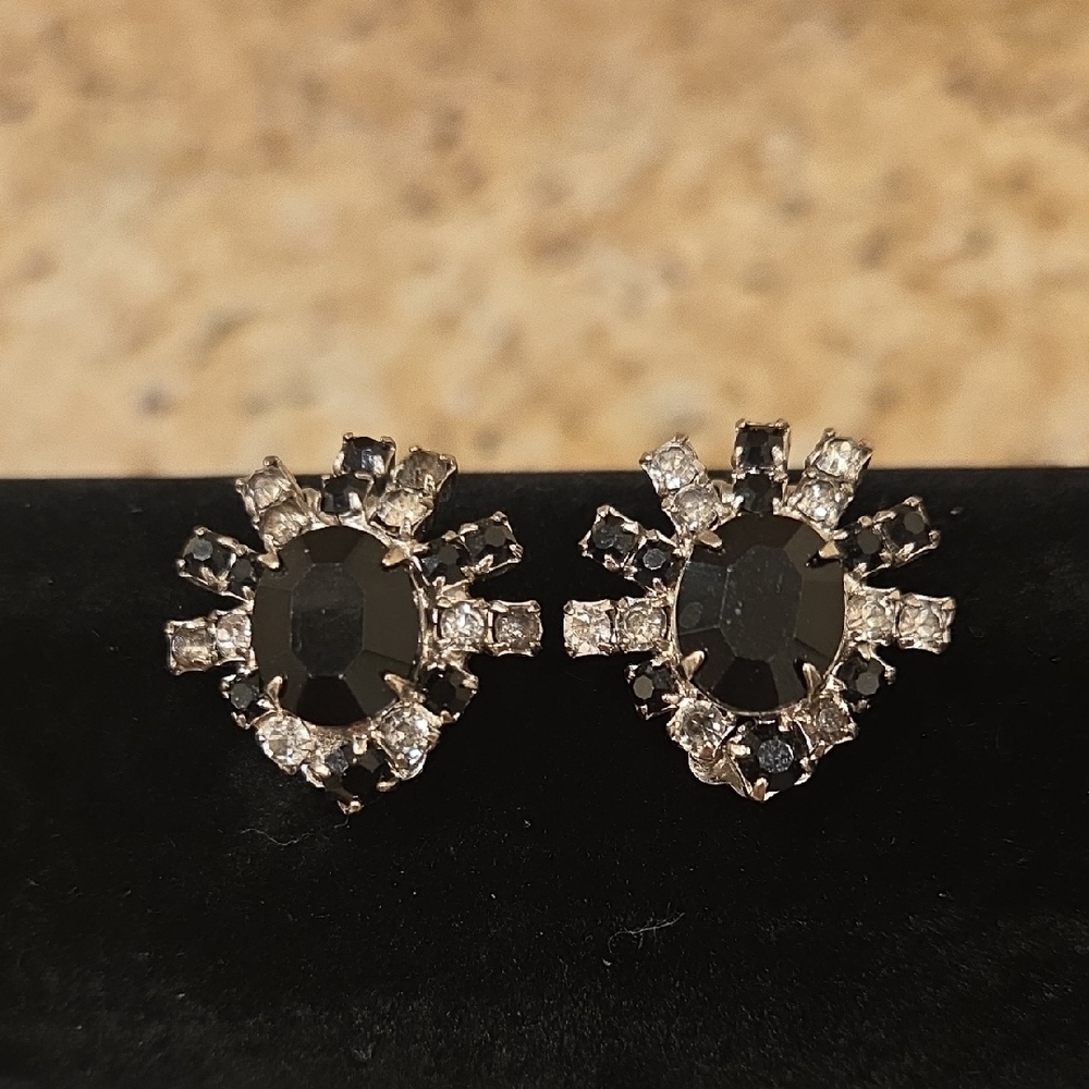 Elegant Black and Silver Earrings